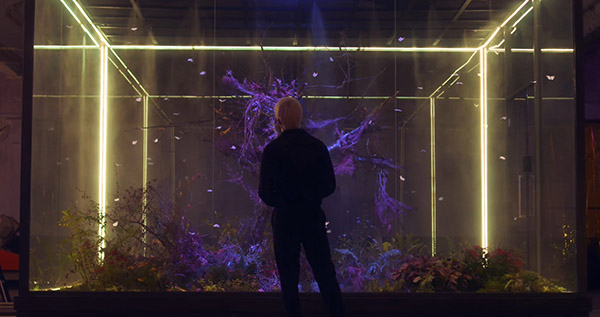 digital effects butterfly