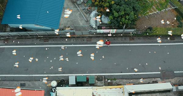 digital effects butterfly