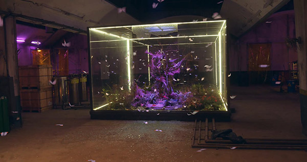 digital effects butterfly